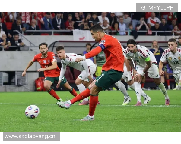 葡萄牙主帅回应C罗观战问题称此举不尊重球员应停止讨论